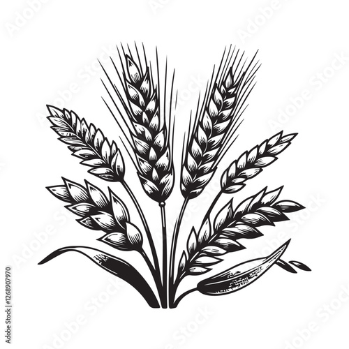 Wheat, Barley, and Rice Icon Set – Hand-Drawn Sketch Style Oats and Grains Vector