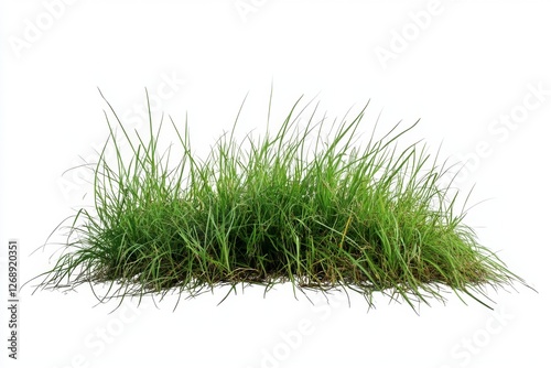 Lush green grass clump, isolated, white background, nature, design element (1)