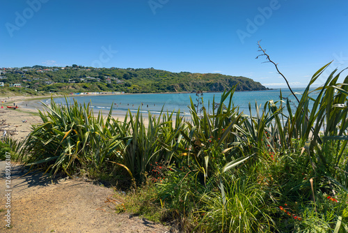 Tītahi Bay beach, Porirua, Wellington, New Zealand with native harakeke flax in foreground.