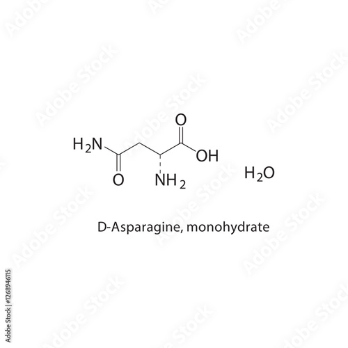 D-Asparagine, monohydrate skeletal structure.Amino Acid compound schematic illustration. Simple diagram, chemical formula.