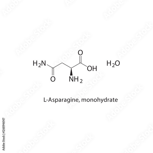 L-Asparagine, monohydrate skeletal structure.Amino Acid compound schematic illustration. Simple diagram, chemical formula.