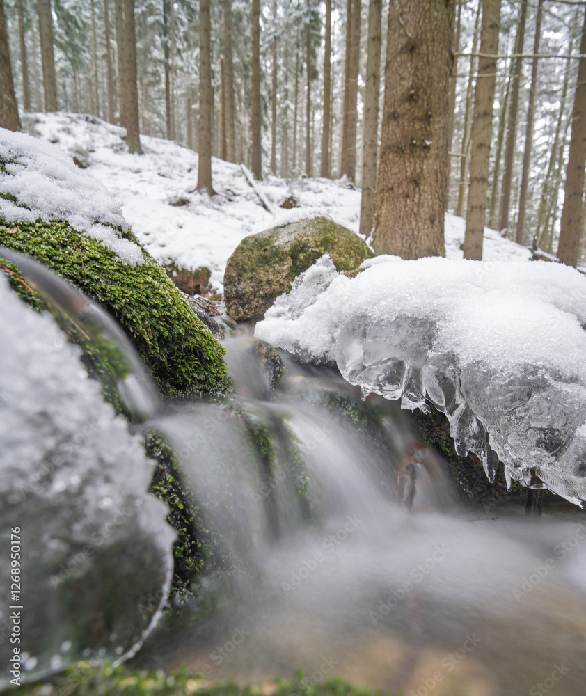 Fototapeta premium Karkonosze - potok