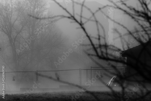 winter landscape with fog in the soft morning light with fog rising up from a river