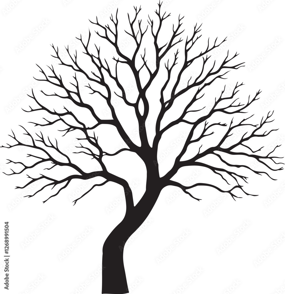 Fototapeta premium Silhouette of Bare and Leafy Trees - Detailed Vector Tree Illustration Set