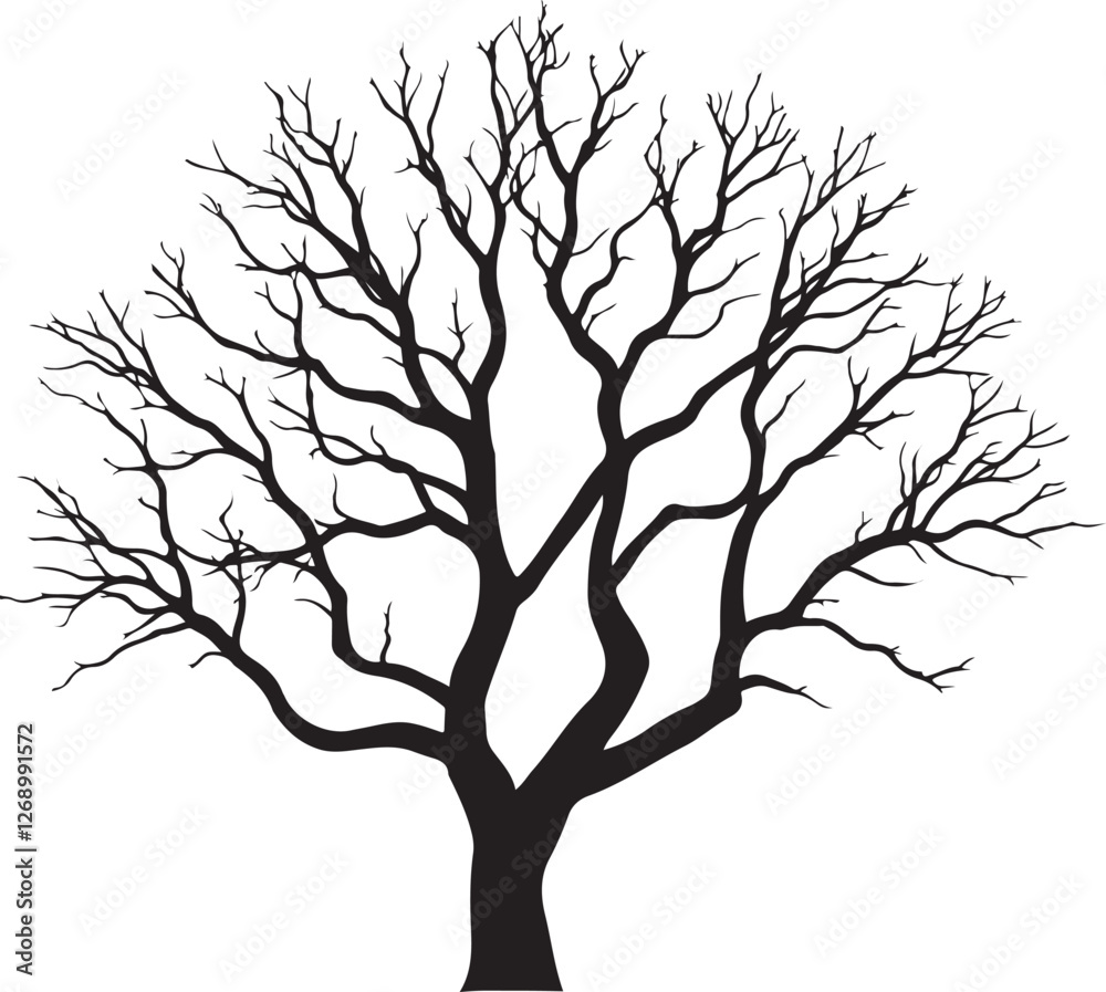 Obraz premium Silhouette of Bare and Leafy Trees - Detailed Vector Tree Illustration Set