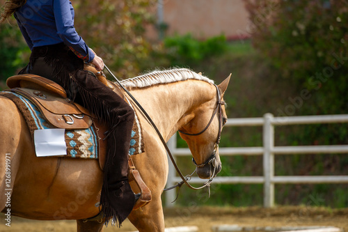 Palomino quarter horse at western show