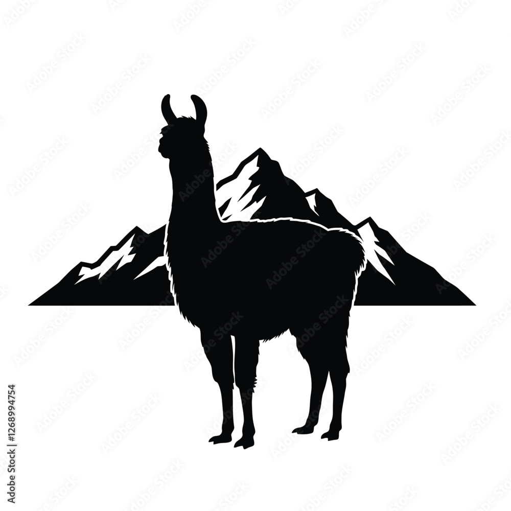 Fototapeta premium camels and camel