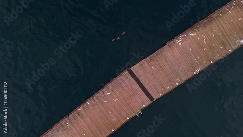 aerial view of ducks near a wooden step with crystal clear water in lake garda