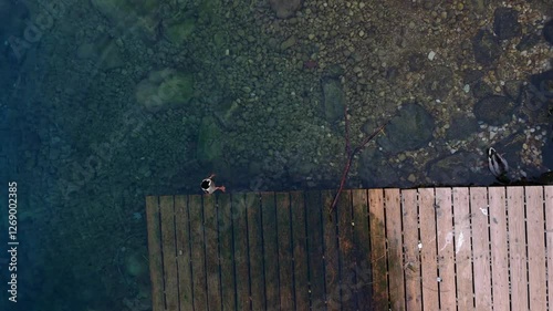 aerial view of ducks near a wooden step with crystal clear water in lake garda