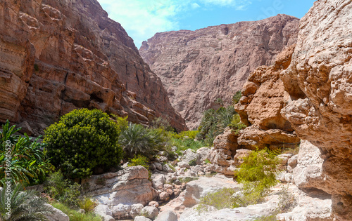 Panoramic view of Wadi Shab canyon in Oman photo