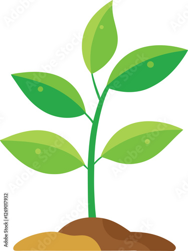 young plant vector, vector and illustration, vector style