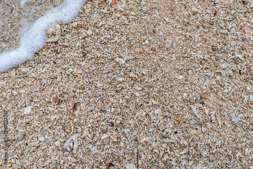 Seashore