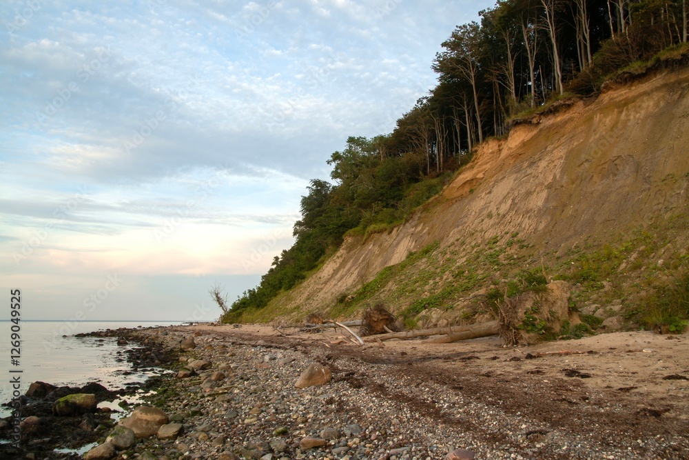 Ostsee Steilküste mit Küstenwald und Abbruchkante bei Dänisch-Nienhof.