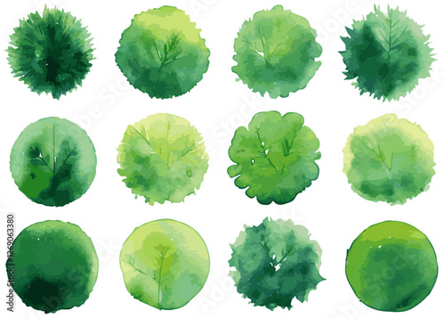 Watercolor style hand drawn top of view tree garden useful for landscape design