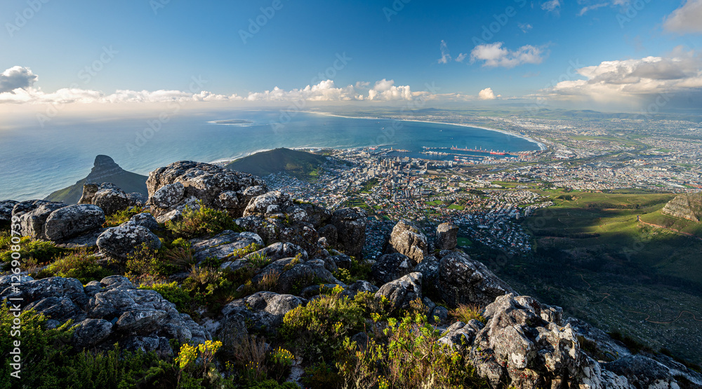 Incredible view of Cape town with lions head from above at Table Mountain national park with rocks and blue sky, Cape Town, Western Cape, South Africa, Africa Incredible view of Cape town with lions head from above at Table Mountain national park with rocks and blue sky, Cape Town, Western Cape, South Africa, Africa