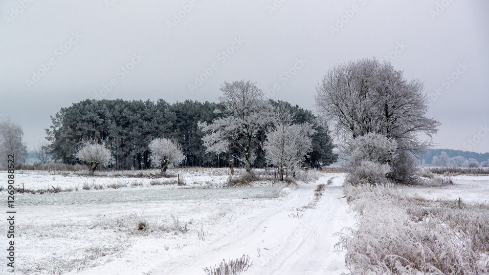 Piękno zimowego krajobrazu, Podlasie, Polska