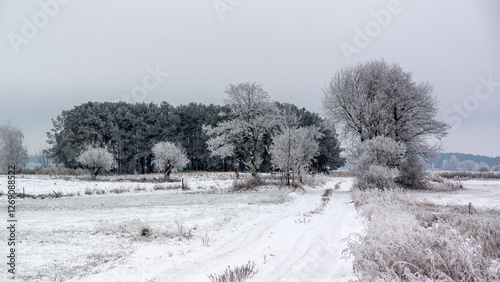 Obraz na płótnie Piękno zimowego krajobrazu, Podlasie, Polska w salonie