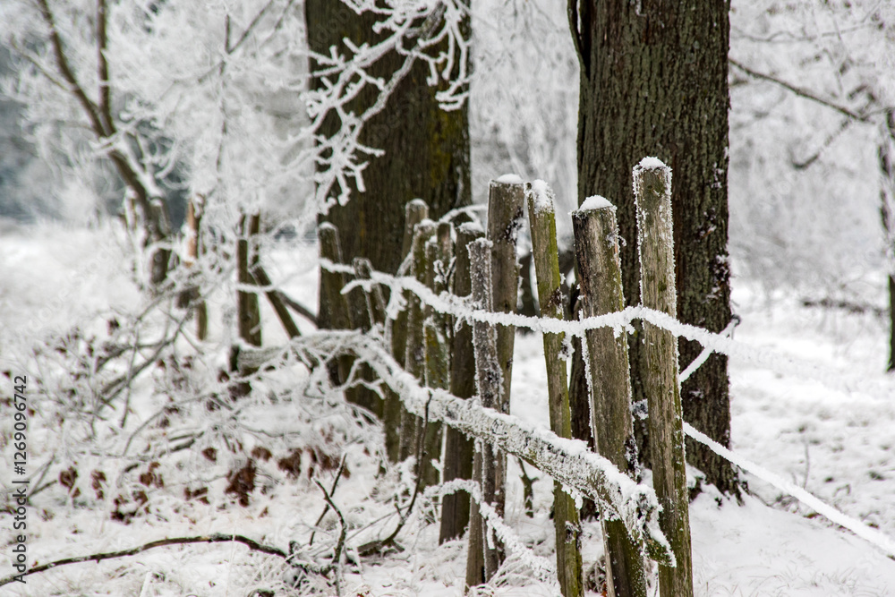 Piękno zimowego krajobrazu, Podlasie, Polska