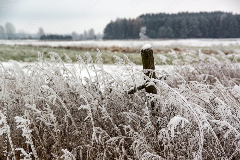 Piękno zimowego krajobrazu, Podlasie, Polska