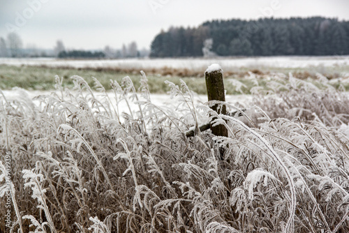 Piękno zimowego krajobrazu, Podlasie, Polska