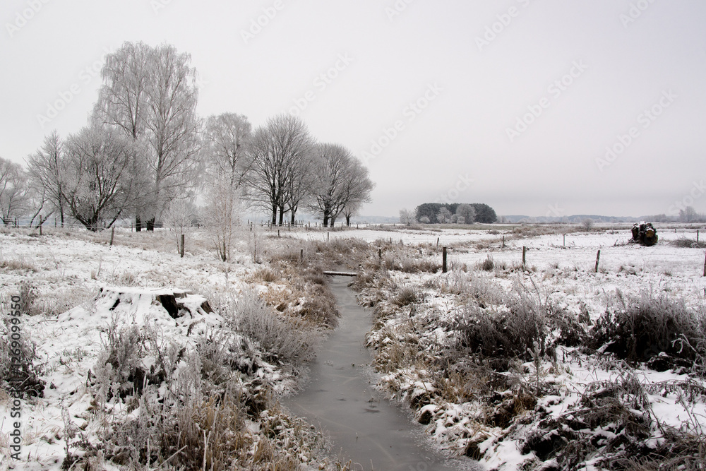 Piękno zimowego krajobrazu, Podlasie, Polska