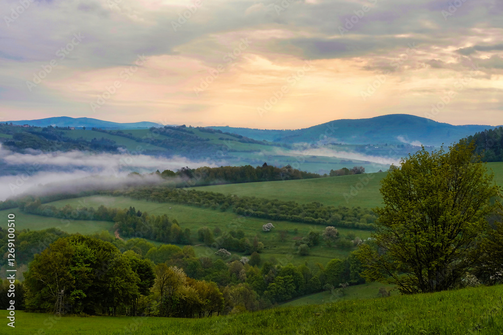 Naklejka premium landscape with mountains