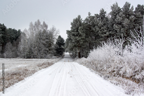 Obraz na płótnie Piękno zimowego krajobrazu, Podlasie, Polska w salonie
