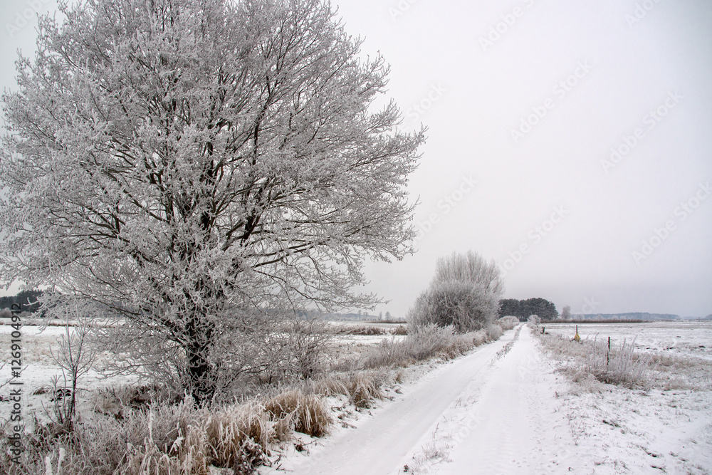 Piękno zimowego krajobrazu, Podlasie, Polska