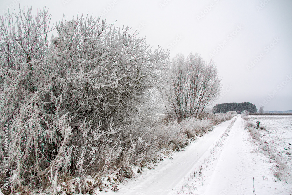Piękno zimowego krajobrazu, Podlasie, Polska
