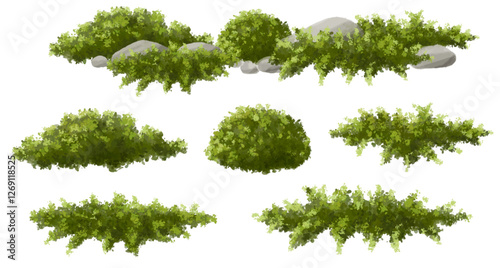 green grass,moss and fern garden, Vertor set of green tree,plants side view for landscape elevations,element for backdrop,eco environment concept design,watercolor greenery scene,shrub