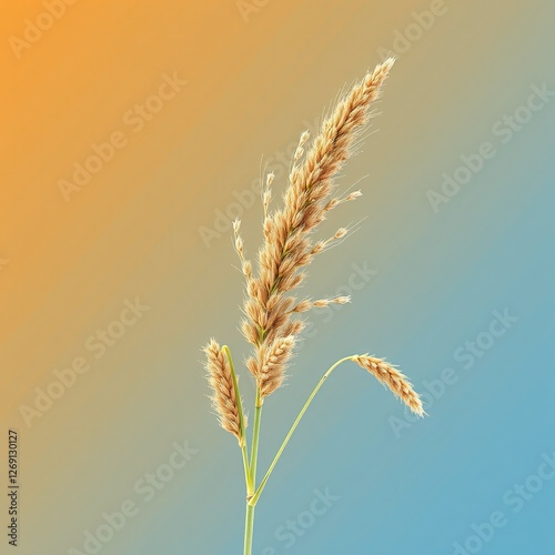 Johnson Grass: A Closer Look at Its Morphology and Impact photo