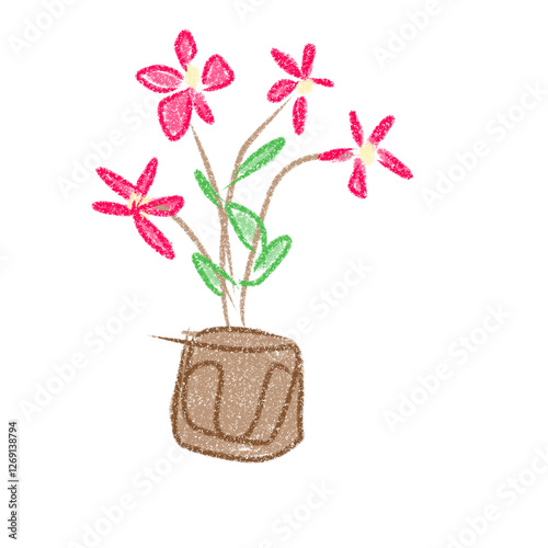 Pink Flowers 