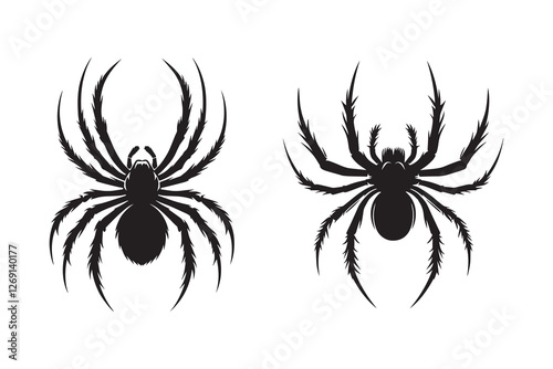 Spider silhouette with white background