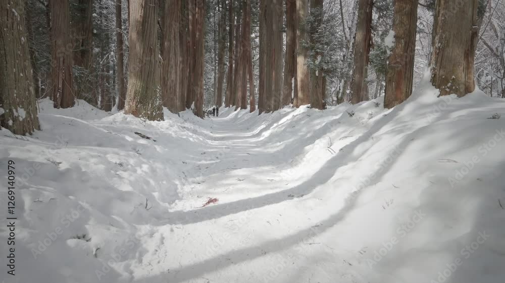 真っ直ぐ伸びる雪の参道 素材庫影片 | Adobe Stock