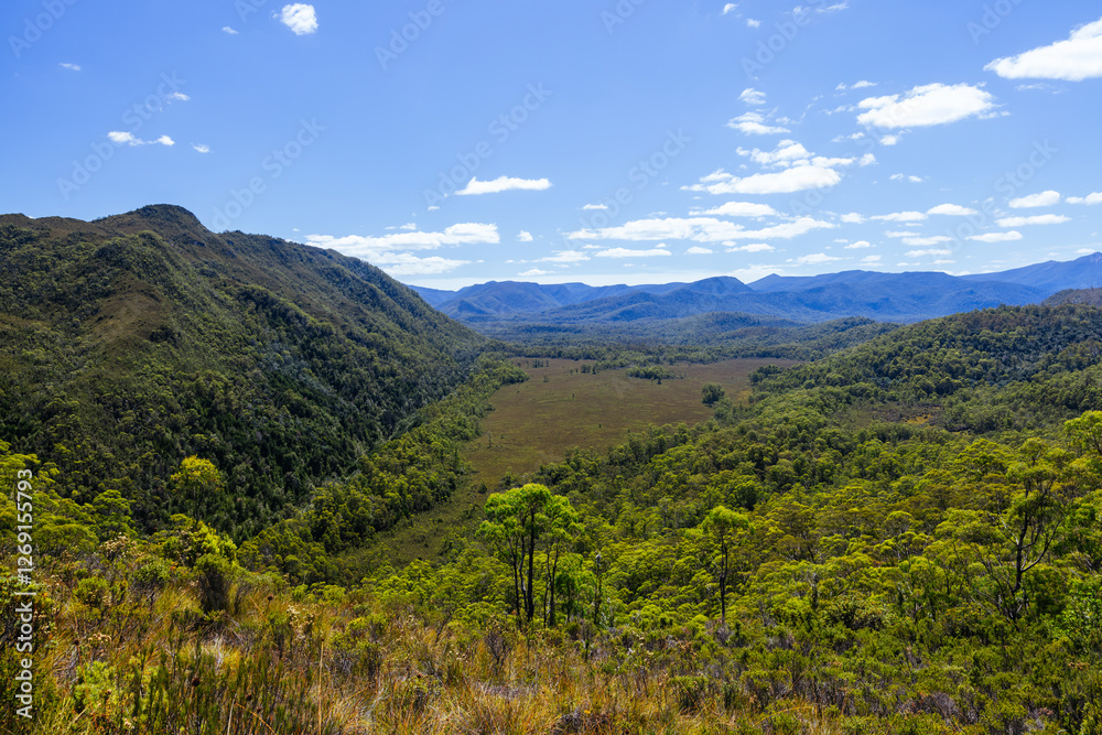 Naklejka premium Donaghys Hill in Tasmania Australia