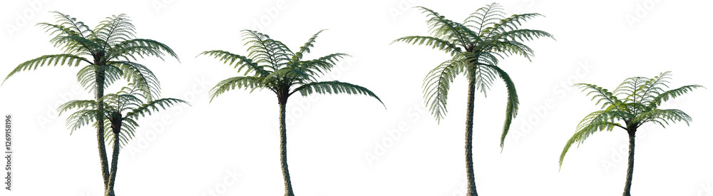 image to crop