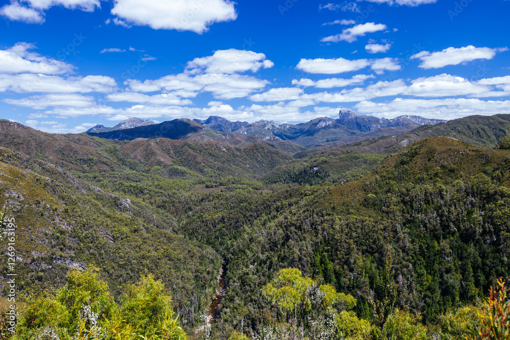 Naklejka premium Donaghys Hill in Tasmania Australia
