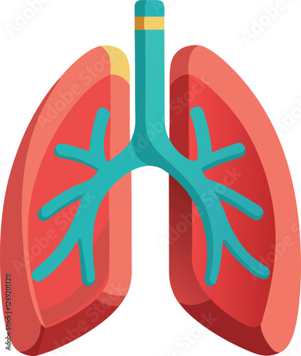 Medical illustration of a human lung vector art illustration