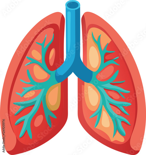 Medical illustration of a human lung vector art illustration