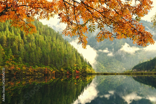 Wonderful view of the Five Flower Lake (Multicolored Lake) among fall woods in Jiuzhaigou ,China.