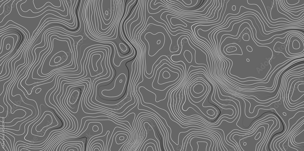 Fototapeta premium Vector grid map.Topographic contour map on white background.