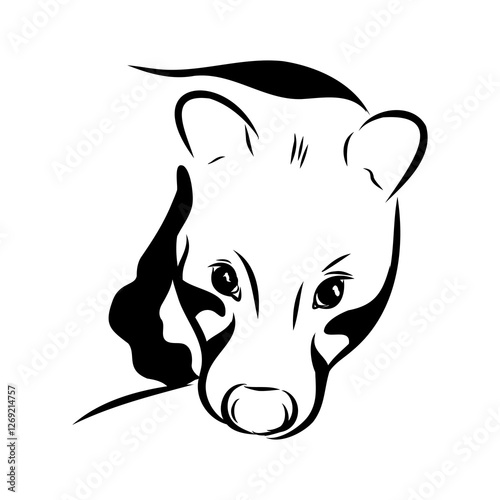 Vector illustration. Hand drawn realistic sketch of asian palm civet or toddy cat.