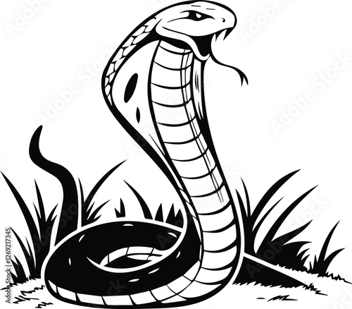 illustration of a snake