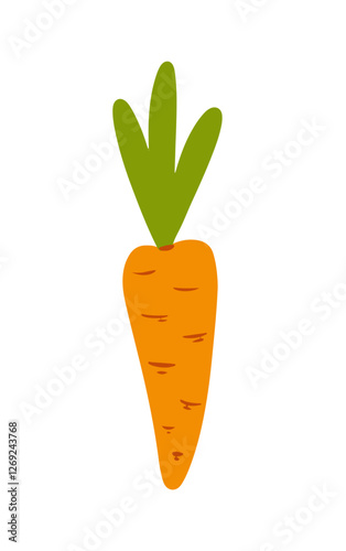 Hand drawn vector illustration of a carrot with green leaves on top isolated on a white background vector illustration