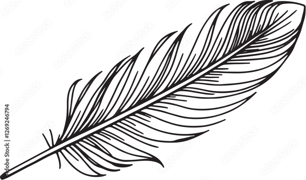 Obraz premium Delicate line art silhouette of a single feather with fine