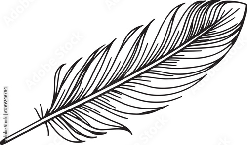 Delicate line art silhouette of a single feather with fine