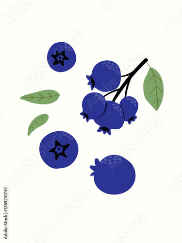 Abstract fruits in modern artistic styles. Great for posters, cards, covers, and trendy t-shirt designs.