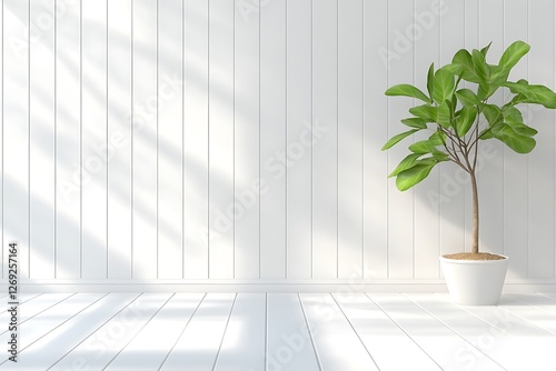 Indoor plant decor minimalist space photography bright environment aesthetic viewpoint photo