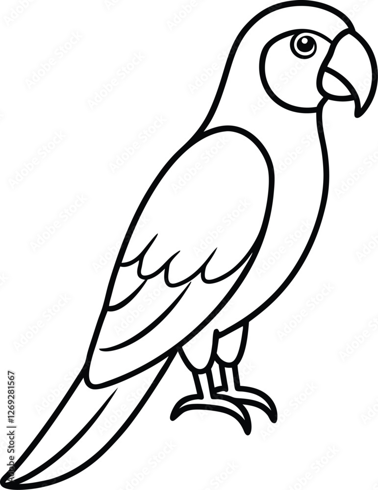Parrot liner art on white background Parrot liner art on white background