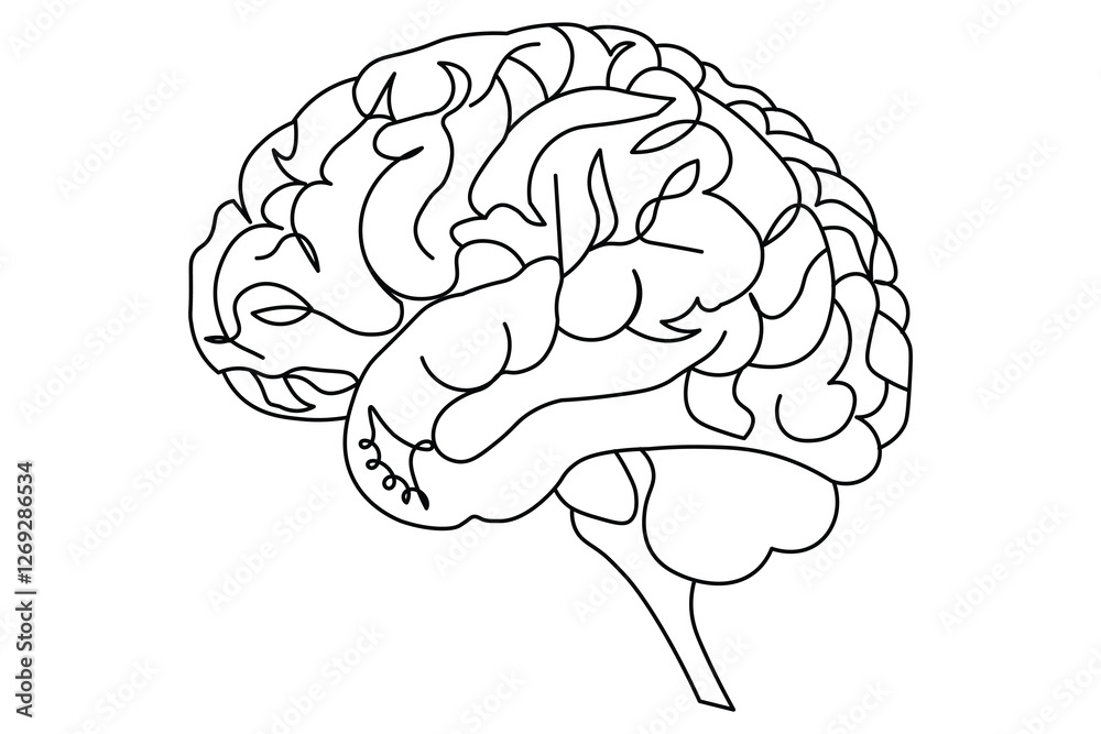 Human brain Continuous single line art of drawing icon and outline vector illustration design
